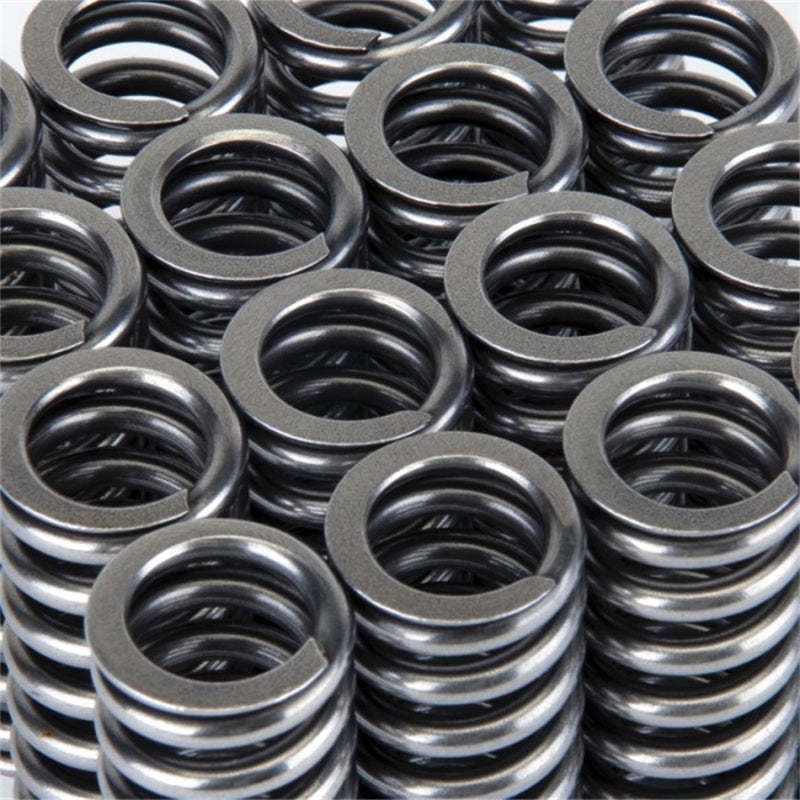 Skunk2 Alpha Series Honda D Series VTEC Valve Spring Set - Black Ops Auto Works