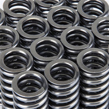 Load image into Gallery viewer, Skunk2 Alpha Series Honda D Series VTEC Valve Spring Set - Black Ops Auto Works