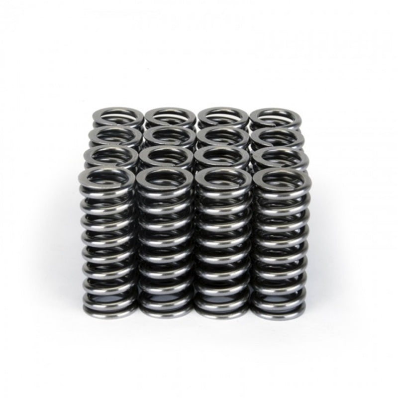 Skunk2 Alpha Series Honda D Series VTEC Valve Spring Set - Black Ops Auto Works