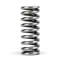 Load image into Gallery viewer, Skunk2 Alpha Series Honda D Series VTEC Valve Spring Set - Black Ops Auto Works