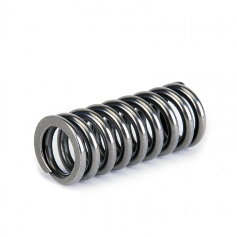 Skunk2 Alpha Series Honda D Series VTEC Valve Spring Set - Black Ops Auto Works