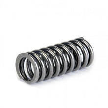 Load image into Gallery viewer, Skunk2 Alpha Series Honda D Series VTEC Valve Spring Set - Black Ops Auto Works