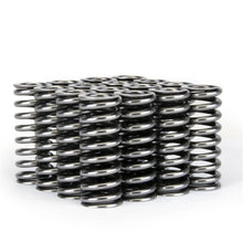 Load image into Gallery viewer, Skunk2 Alpha Series Honda D Series VTEC Valve Spring Set - Black Ops Auto Works