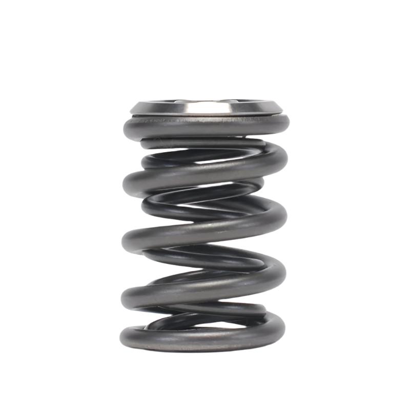 Skunk2 Alpha Series Honda/Acura B Series Valve Spring and Titanium Retainer Kit - Black Ops Auto Works