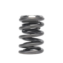 Load image into Gallery viewer, Skunk2 Alpha Series Honda/Acura B Series Valve Spring and Titanium Retainer Kit - Black Ops Auto Works