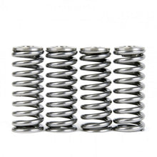 Load image into Gallery viewer, Skunk2 Alpha Series Honda/Acura D Series Valve Spring and Titanium Retainer Kit - Black Ops Auto Works