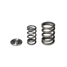 Load image into Gallery viewer, Skunk2 Alpha Series Honda/Acura H Series Valve Spring and Titanium Retainer Kit - Black Ops Auto Works