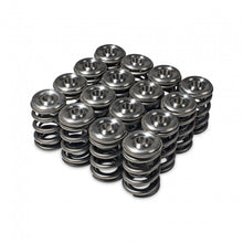 Load image into Gallery viewer, Skunk2 Alpha Series Honda/Acura H Series Valve Spring and Titanium Retainer Kit - Black Ops Auto Works