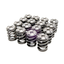 Load image into Gallery viewer, Skunk2 Alpha Series Honda/Acura K Series Valve Spring and Titanium Retainer Kit - Black Ops Auto Works