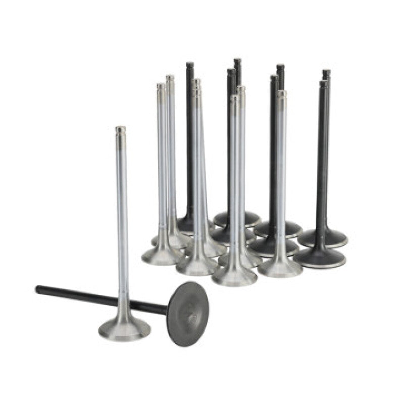 Skunk2 Honda K20C1 Alpha Series Intake & Exhaust Valve Set (Standard Compression) Skunk2 Racing SKK310-05-2000