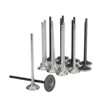 Load image into Gallery viewer, Skunk2 Honda K20C1 Alpha Series Intake &amp; Exhaust Valve Set (Standard Compression) Skunk2 Racing SKK310-05-2000
