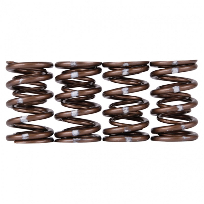 Skunk2 Pro Series Honda/Acura B-Series VTEC XP Valve Spring Set (Dual Springs) - Black Ops Auto Works