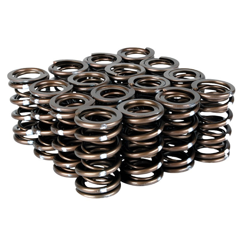 Skunk2 Pro Series Honda/Acura B-Series VTEC XP Valve Spring Set (Dual Springs) - Black Ops Auto Works