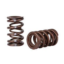 Load image into Gallery viewer, Skunk2 Pro Series Honda/Acura K-Series i-VTEC XP Valve Spring Set (Dual Springs) - Black Ops Auto Works