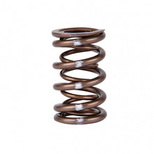 Load image into Gallery viewer, Skunk2 Pro Series Honda/Acura K-Series i-VTEC XP Valve Spring Set (Dual Springs) - Black Ops Auto Works