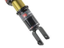 Load image into Gallery viewer, Skunk2 96-00 Honda Civic Pro-ST Coilovers (Front 10 kg/mm - Rear 10 kg/mm) - Skunk2 Racing SKK541-05-8725