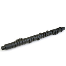 Load image into Gallery viewer, Skunk2 Tuner Series D-Series Honda Stage 2 Camshaft - Black Ops Auto Works