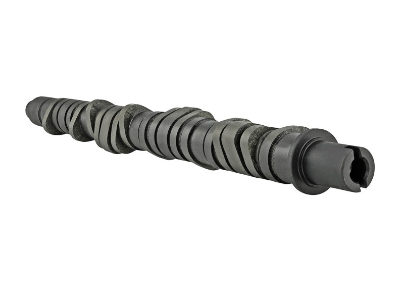 Skunk2 Tuner Series D-Series Honda Stage 2 Camshaft - Black Ops Auto Works