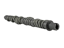 Load image into Gallery viewer, Skunk2 Tuner Series D-Series Honda Stage 2 Camshaft - Black Ops Auto Works