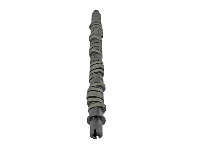 Skunk2 Tuner Series D-Series Honda Stage 2 Camshaft - Black Ops Auto Works