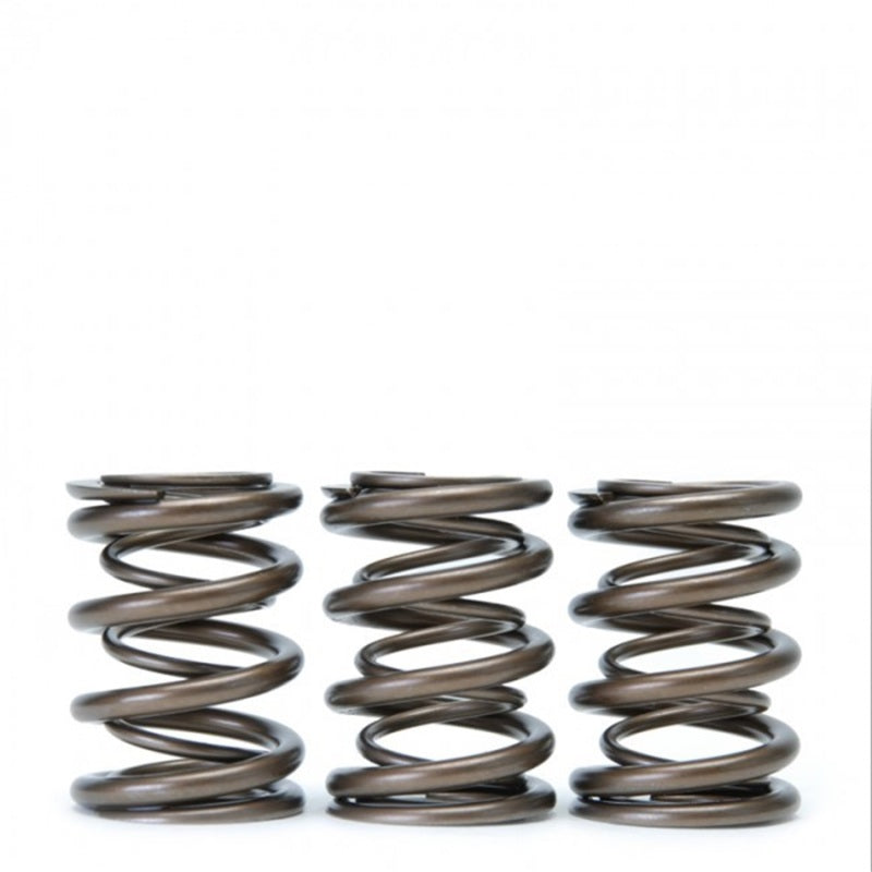 Skunk2 Tuner Series Honda/Acura (B16A/ B17A/ B18C) DOHC VTEC Alpha Valve Spring Set (Dual Springs) - Black Ops Auto Works