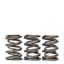 Load image into Gallery viewer, Skunk2 Tuner Series Honda/Acura (B16A/ B17A/ B18C) DOHC VTEC Alpha Valve Spring Set (Dual Springs) - Black Ops Auto Works