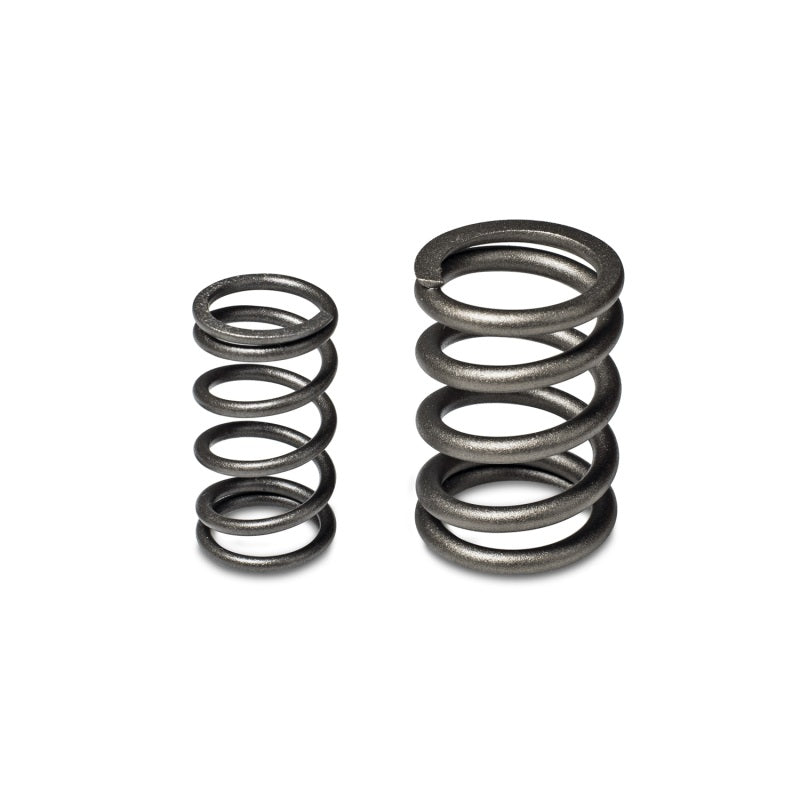 Skunk2 Tuner Series Honda/Acura (B16A/ B17A/ B18C) DOHC VTEC Alpha Valve Spring Set (Dual Springs) - Black Ops Auto Works