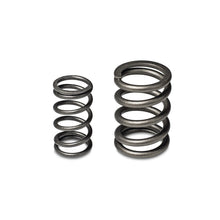 Load image into Gallery viewer, Skunk2 Tuner Series Honda/Acura (B16A/ B17A/ B18C) DOHC VTEC Alpha Valve Spring Set (Dual Springs) - Black Ops Auto Works
