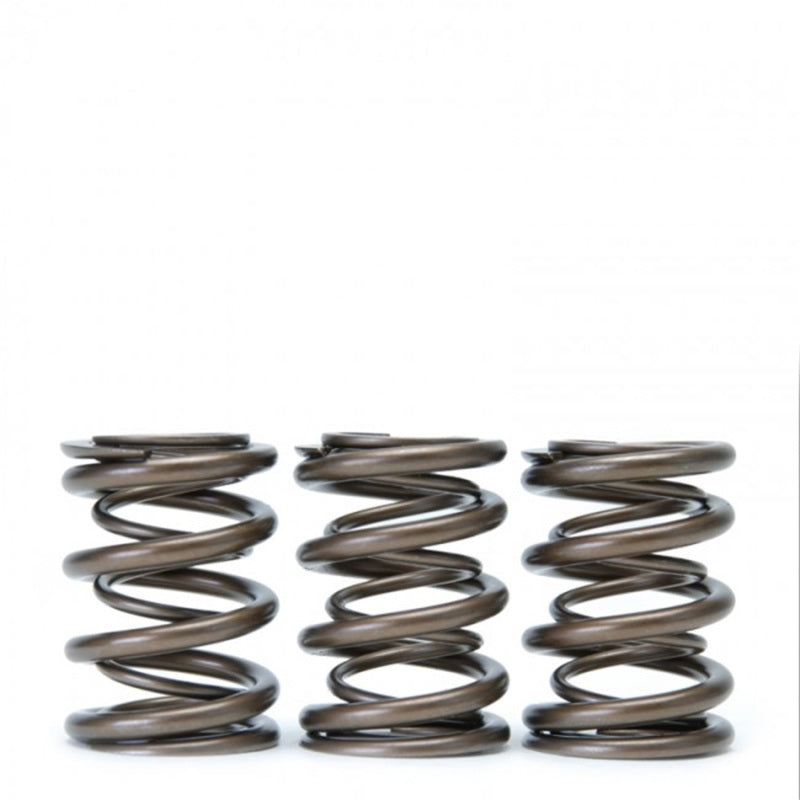 Skunk2 Tuner Series Honda/Acura (H22A/F20B) DOHC VTEC Alpha Valve Spring Set (Dual Springs) - Black Ops Auto Works