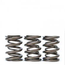 Load image into Gallery viewer, Skunk2 Tuner Series Honda/Acura (H22A/F20B) DOHC VTEC Alpha Valve Spring Set (Dual Springs) - Black Ops Auto Works