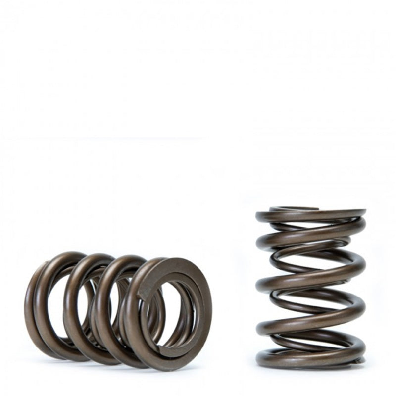 Skunk2 Tuner Series Honda/Acura (H22A/F20B) DOHC VTEC Alpha Valve Spring Set (Dual Springs) - Black Ops Auto Works