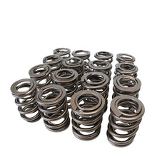 Load image into Gallery viewer, Skunk2 Tuner Series Honda/Acura (H22A/F20B) DOHC VTEC Alpha Valve Spring Set (Dual Springs) - Black Ops Auto Works