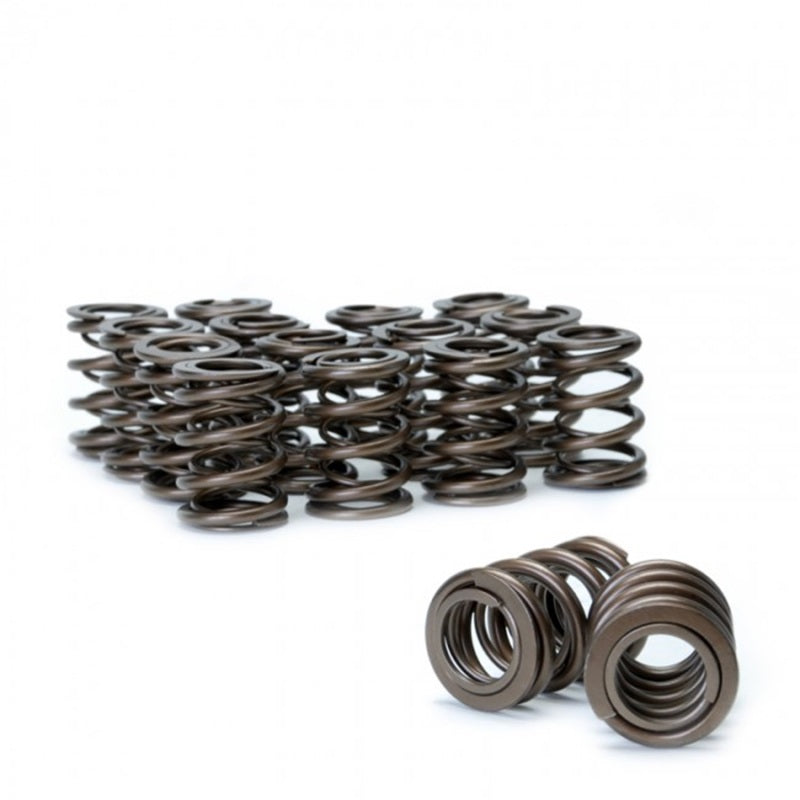 Skunk2 Tuner Series Honda/Acura (K20/K24/F20C/F22C) DOHC VTEC Alpha Valve Spring Set (Dual Springs) - Black Ops Auto Works