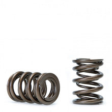 Load image into Gallery viewer, Skunk2 Tuner Series Honda/Acura (K20/K24/F20C/F22C) DOHC VTEC Alpha Valve Spring Set (Dual Springs) - Black Ops Auto Works