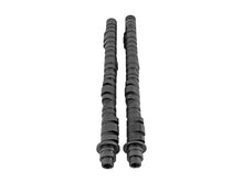 Load image into Gallery viewer, Skunk2 Ultra Series Honda/Acura K20A3 &amp; K24A1/ A3/ A4/ A8 DOHC i-VTEC Drop In D1 Cam Shafts - Black Ops Auto Works