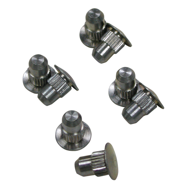 SPC Performance ALIGN CAMS GUIDE PINS (8)-Camber Kits-SPC Performance-082642863250-