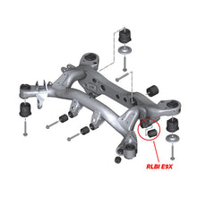 Load image into Gallery viewer, SPL Parts 06-13 BMW E80/E82/E82M / 06-13 BMW E90/E91/E92/E93 Rear Lower Control Arm Inner Bushing - SPL Parts SPPSPL RLBI E9X