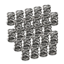 Load image into Gallery viewer, Supertech BMW M50/M52/S50/S52 Dual Valve Spring - Set of 24 - Black Ops Auto Works