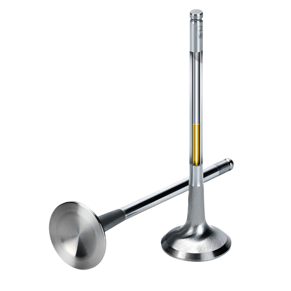 Supertech BMW B58/B48 Inconel Single Groove Sodium Filled Exhaust Valve - Set of 12 - Supertech MCEVI-1400S-HS-12