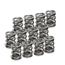 Load image into Gallery viewer, Supertech VW VR6 Dual Valve Spring - Set of 12 - Black Ops Auto Works