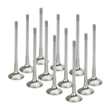Load image into Gallery viewer, Supertech NEVI-1032-7-L-12 RB26 exhaust valve set full view