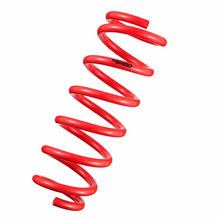 Load image into Gallery viewer, Tanabe NF210 Springs 06-07 GS300 Tanabe TANTNF112