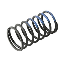 Load image into Gallery viewer, Turbosmart WG40 10PSI Outer Spring Brown/Blue - Black Ops Auto Works