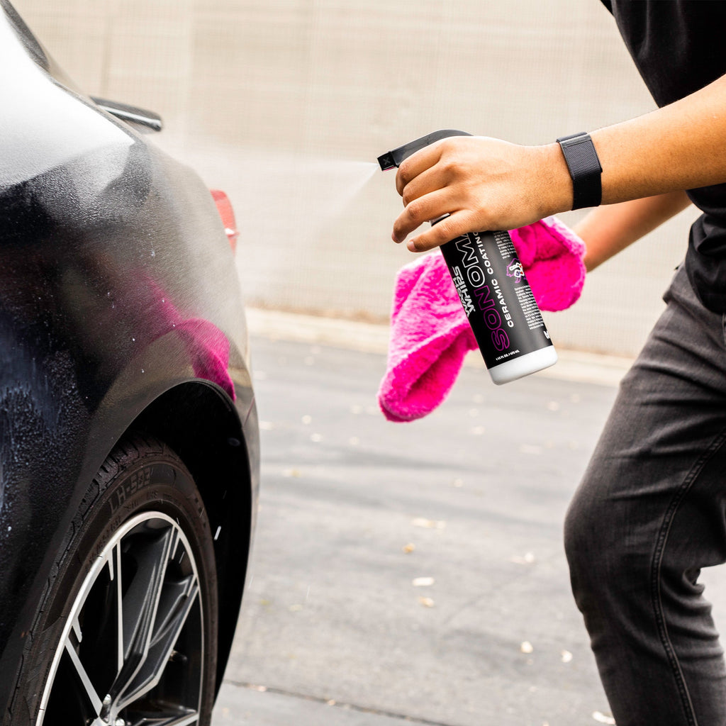 WASH & WHIPS Quick Detailing Pro Kit for Auto Detailing - 16-Piece