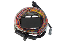 Load image into Gallery viewer, Haltech Elite 750 8ft Premium Universal Wire-In Harness Haltech