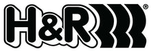 Load image into Gallery viewer, H&amp;R Wheel Bolts Type 14 X 1.5 Length 35mm Type VW / Audi Ball Head 17mm H&amp;R