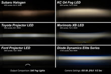 Load image into Gallery viewer, Diode Dynamics Elite Foglamp Type F2 - White (Pair) Diode Dynamics