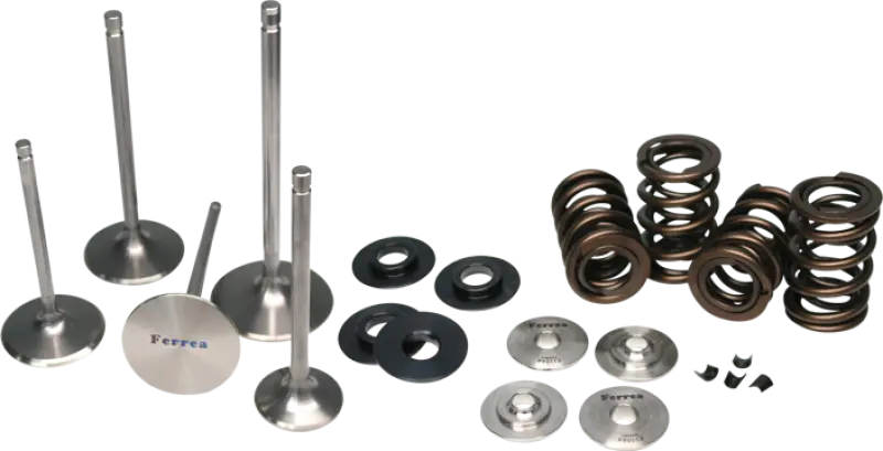 Ferrea Mitsubishi Evo X 4B11T Dual Spring Kit Ferrea