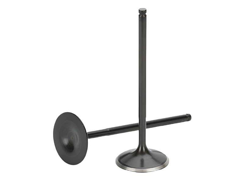 Supertech BMW M20 2.5L Black Nitrided Intake Valve - Set of 6 Supertech