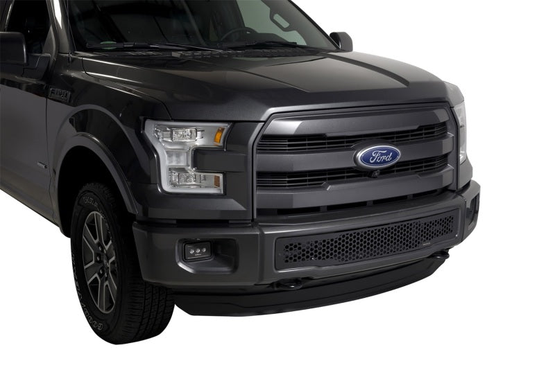 Putco 15-17 Ford F-150 - Stainless Steel Black Punch Design Bumper Grille Inserts Putco